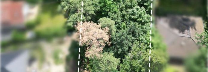Dużo miejsca na Twoje pomysły: działka budowlana o powierzchni 1.237 m² w Rangsdorf, sprzedawana w drodze procedury ofertowej!