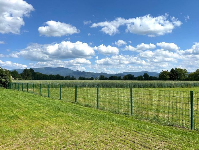 Aussicht vom Garten
