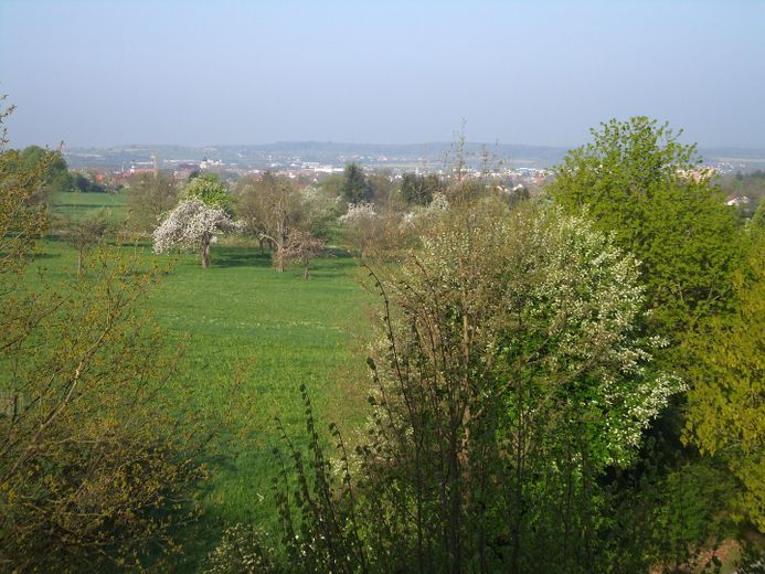 Aussicht