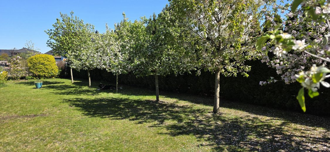Geborgenheit und Entspannung im Bremer Speckgürtel: Einzigartige A+Stadtvilla mit Erdwärme, KfW 40 – Obstbäume Apfel und Kirsche