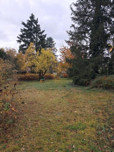 Spazio per 2 famiglie – Blick ins Grundstück v. Straße