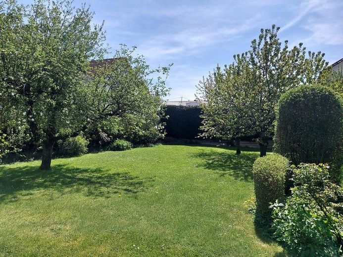 Garten nach hinten raus