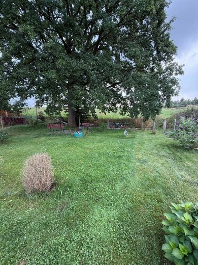 Günstiges EFH mit Terrasse, Garage, Dusche und sonnigem Grundstück am grünen Ortsrand – Garten