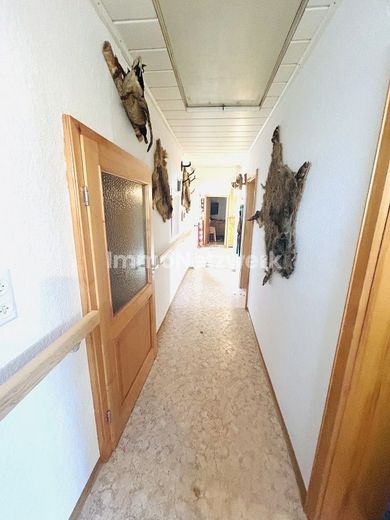 *Ländlicher Bungalow mit viel Potenzial - auf einer Ebene wohnen, naturnah leben* – kleiner Flur