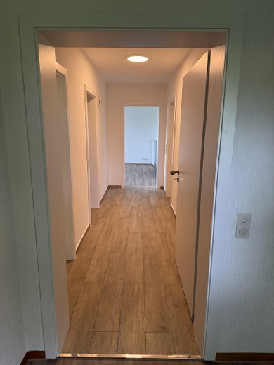 Neu renovierte 3-Zimmer-Wohnung mit Balkon, neuer EBK und 2 Stellplätzen in Reuffelbach (Mammelzen) – Flur