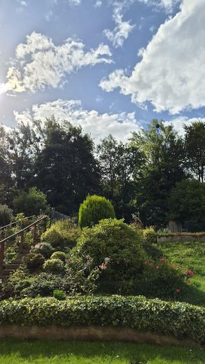 Dom szeregowy w Bad Gandersheim z pięknym ogrodem i piwnicą OD OSOBY PRYWATNEJ! – Gartenimpressionen