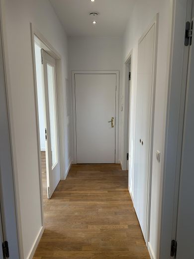 Splendido appartamento di nuova costruzione con 3 locali nel "Schweizer Viertel"! Senza commissioni! – Flur