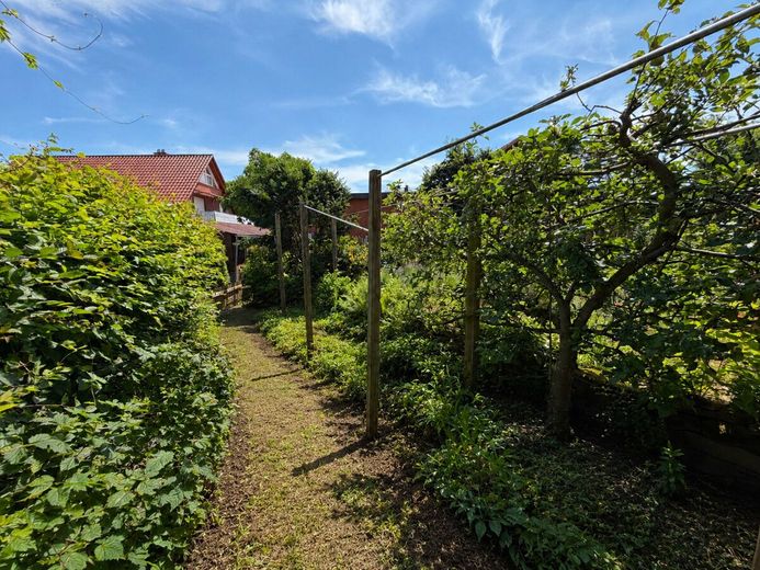 Ökologisches Architektenhaus mit Charakter - Wohnen im Einklang mit der Natur – Hochbeete