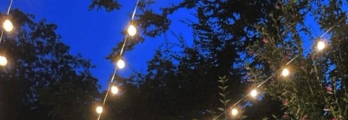 Abendstimmung im Garten