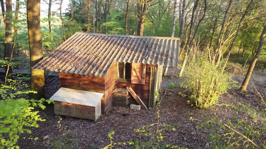 1,4 ha eigenes Land mit Wiese, Wald & Jagdhütte — Hunsrück-Landsitz in Einzellage – Foto 43