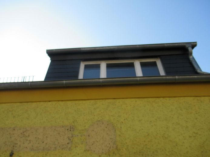 2 Häuser auf einem Grundstück Zentrum EFH Gewerbe 5 Garagen Halle privat – Gaube Vorderhaus