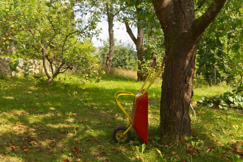 Şehirde kırsal ev ama yine de yemyeşilin ortasında – Impressionen Garten