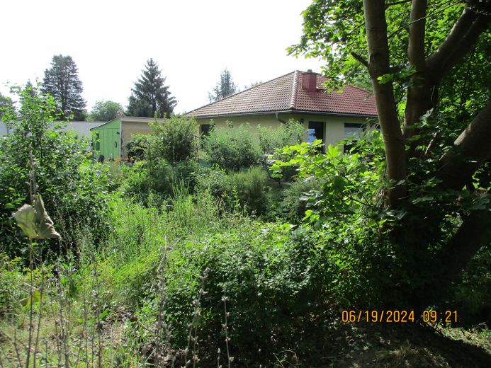 von Brücke aus versteckt