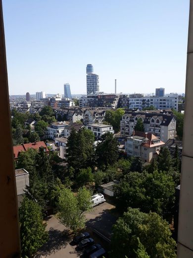 Mieszkanie 2-pokojowe na Sachsenhäuser Berg – Blick aus dem Küchenfenster