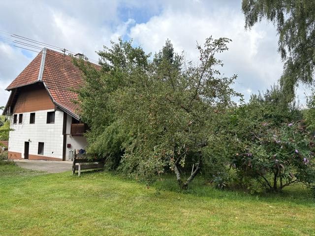 Hausansicht vom Garten