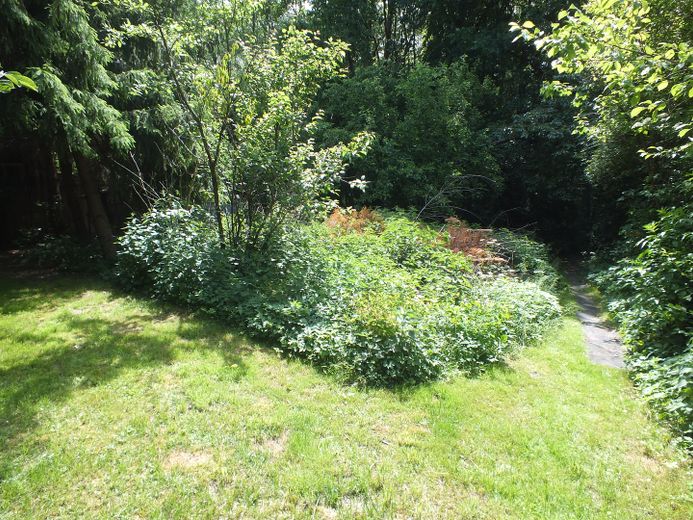 Naturidyll mit riesigem Grundstück – Provisionsfrei von Privat! – Garten