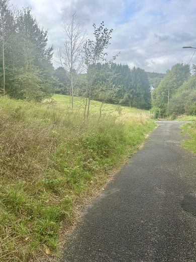 Grüne Umgebung