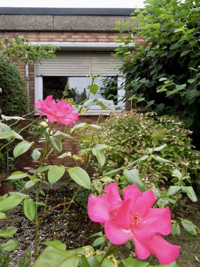 Bungalow im Grünen - provisionsfrei – Blick auf den Essbereich