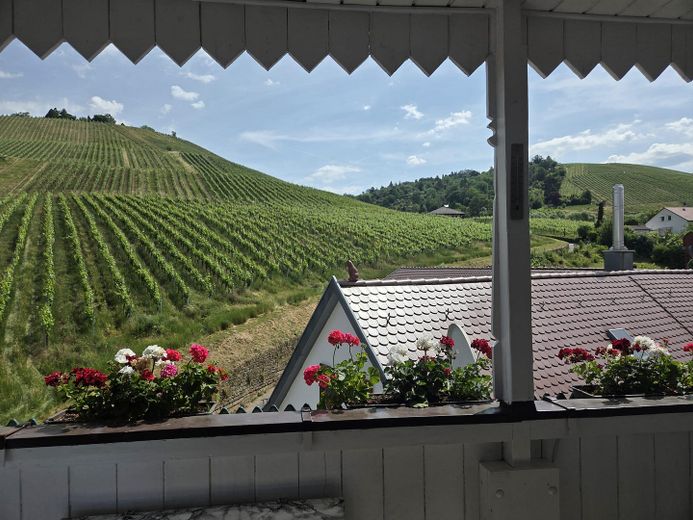 Provisionsfrei! Panoramablick direkt an den Weinbergen Untertürkheims – Foto 1