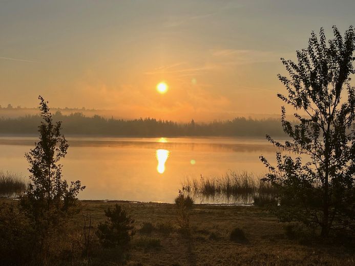 Wohnen - Arbeiten - Ferien auf höchstem Niveau am Zwenkauer See – Foto 21