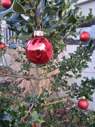 Baumschmuck im Garten 