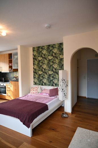 Apartamento de 1 habitación entre Altenburg y la catedral de Bamberg (disponible para entrar a vivir) – Wohn-Essbereich