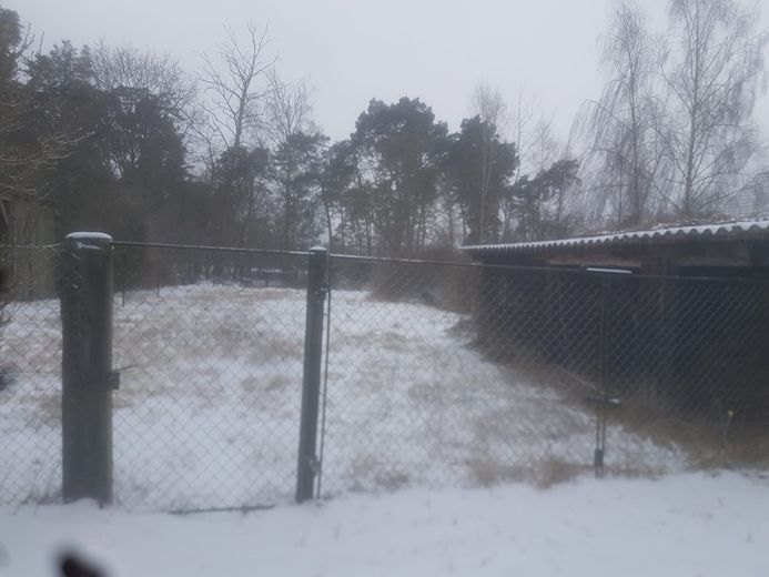 Huis te koop Grieben – Foto 4