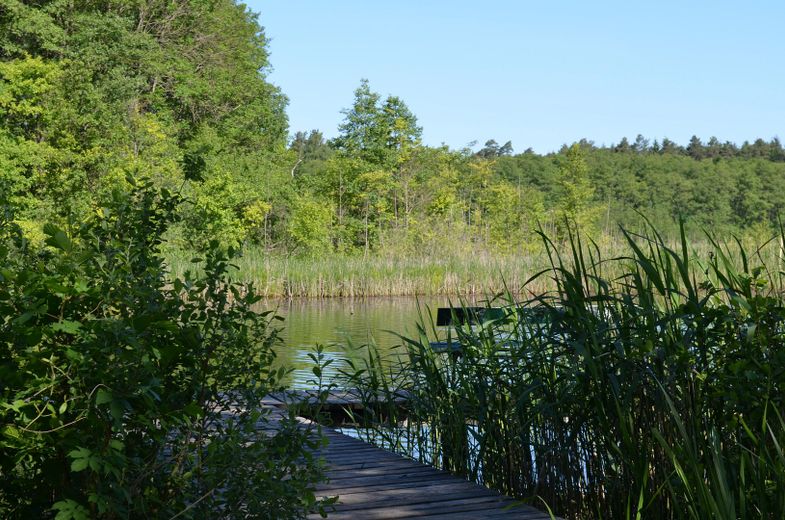 der See