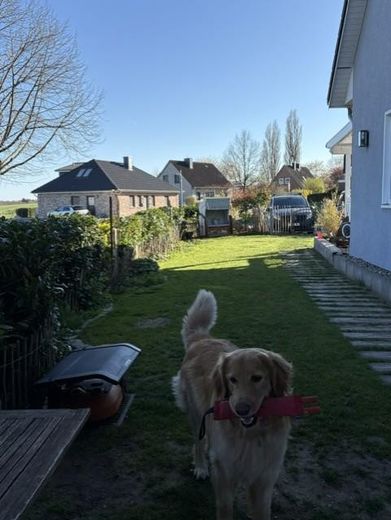 Schöne Doppelhaushälfte fußläufig zur Ostsee – Garten
