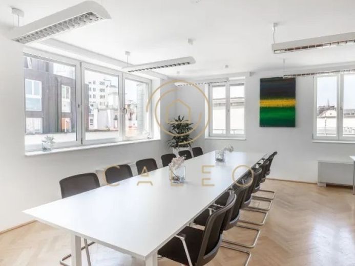 CALEO ¦ Bezirk 1 ¦ am Graben ¦ flexibel + sofort bezugsfertig ¦ All-in-Miete ¦ PROVISIONSFREI – Foto 1