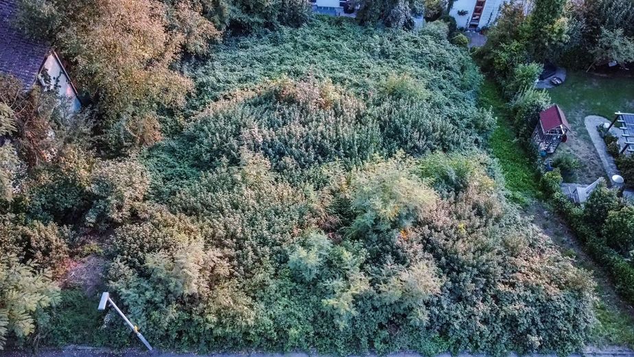 Terreno edificabile in posizione tranquilla alla periferia di Tettnang – Grundstück 2