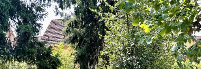 GRUNDSTÜCK AM BACH