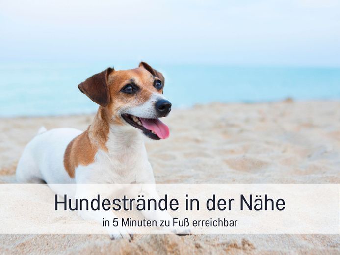 Spektakuläre Penthouse FeWo mit einzigartigen Energiekonzept A* in erster Reihe auf Rügen – Foto 37