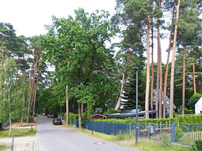 Schildow, Tschaikowskistraße, Komponistenquartier, provisionsfrei – unmittelbares Umfeld