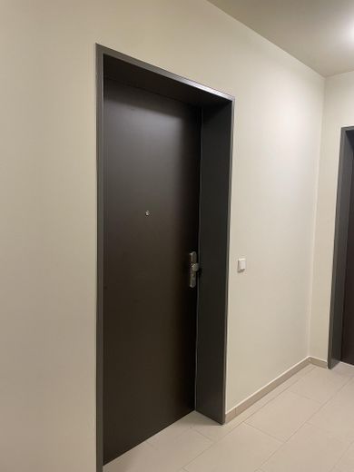 Absoluter Highlight! Urbaner Wohntraum mit Blick ins Grüne – Wohnungstür
