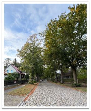 Historische Wohnstraße 