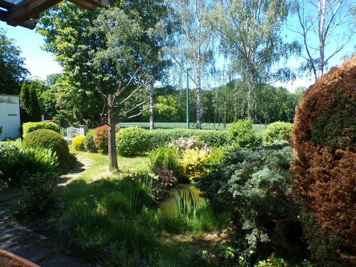 Natur. Ruhe. Bungalow auf Eckgrundstück mit unverbaubarem Ausblick – provisionsfrei! – 06_Blick_von_Terrasse
