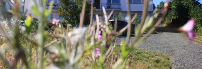 Gartenansicht mit thermischer 