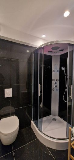 Gäste-WC mit Dusche EG