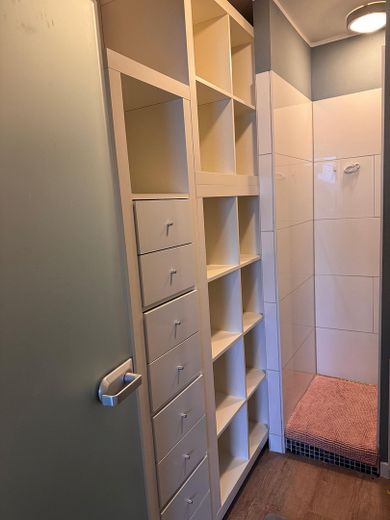 el. ausfahrbahrer Badschrank