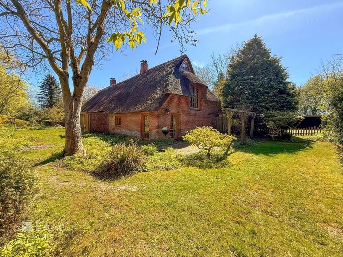 Ein Reetdachhaus wie aus dem Märchen - umgeben von Natur, Geschichte und Seele. – Außenansicht Garten Bild 1