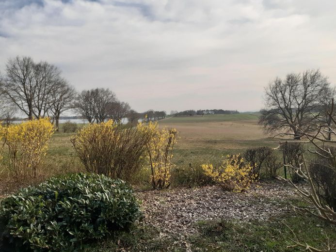 Ansicht auf Naturschutzgebiet