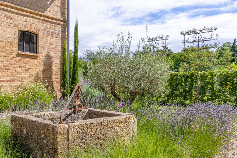 Gartenimpression