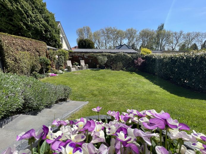 Blick in den Garten