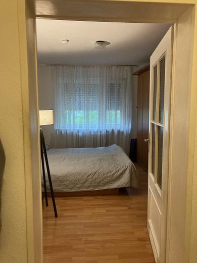 Geräumige 2 Zimmer Wohnung mit Balkon und Dachterrasse in Ludwigshafen Mitte – Foto 3