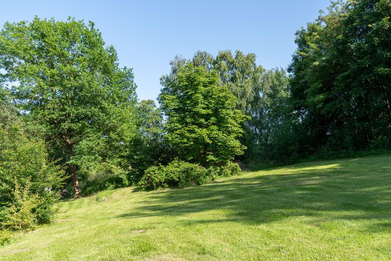 Landhaus unter Reet am See, Gästewohnung, Stallungen, Weiden und Wald. – Garten