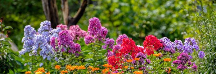Grundstück Fröndenberg - Nutzung als Ziergarten