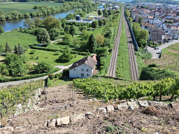 Streuobstwiese Weinberg Haus