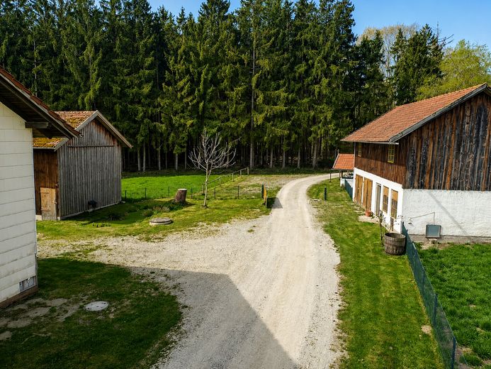 Pequeña finca/granja en ubicación absolutamente aislada al borde del bosque – Foto 6