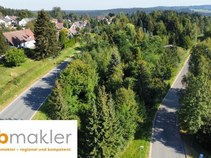 Sehr gutes Grundstück!
13.600 qm optimale Anbindung BAB93 / Schönwald 
Hohe Förderungen möglich! – Foto 1